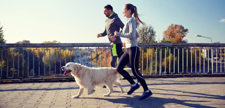 Best Nike Running Shoes for Every Terrain (2026): Top Picks for Road, Track, and Trail 2